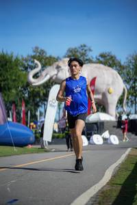 BIB: 
                            <button type="button" onclick="openModal(26542185)" class="btn btn-primary btn-sm float-right btn-popup" data-toggle="modal" data-target=".modal-high-quality">
                        <i class="fas fa-shopping-cart"></i> Add to Cart
                    </button>
                                            <button type="button" onclick="isThisMe(26542185, true)" class="btn btn-success btn-sm float-right btn-popup btn-isme hidden" data-toggle="tooltip" data-placement="bottom" title="นี่คือรูปของคุณใช่ไหม คลิกที่นี่เพื่อเอาเข้าอัลบั้ม">
                        <i class="fas fa-plus"></i> Add to album
                    </button>
                    <button type="button" onclick="isThisMe(26542185, false)" class="btn btn-warning btn-sm float-right btn-popup btn-isnotme hidden">
                        <i class="fas fa-ban"></i> Remove from album
                    </button>